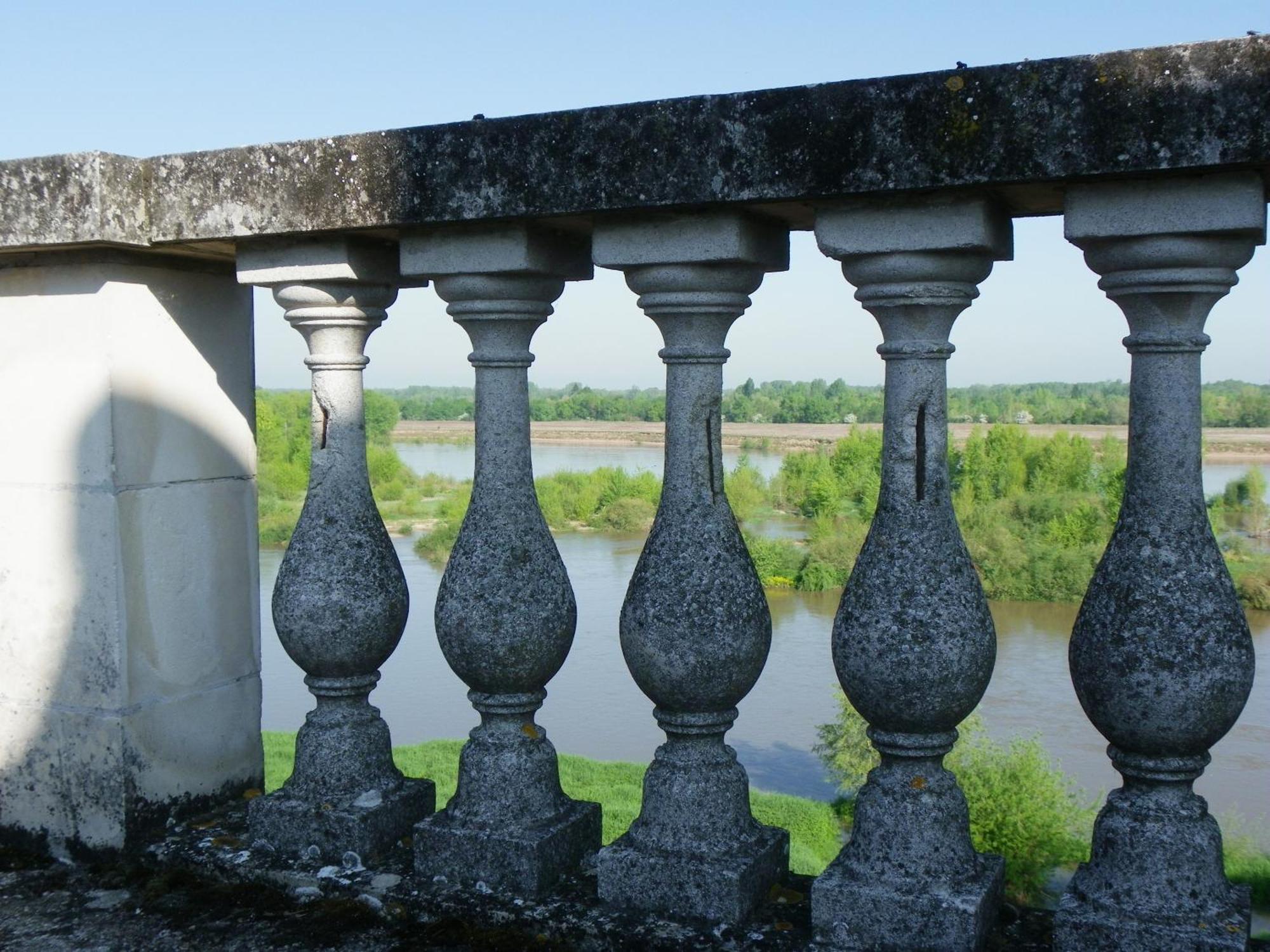 Chateau De Colliers Muides-sur-Loire Room photo