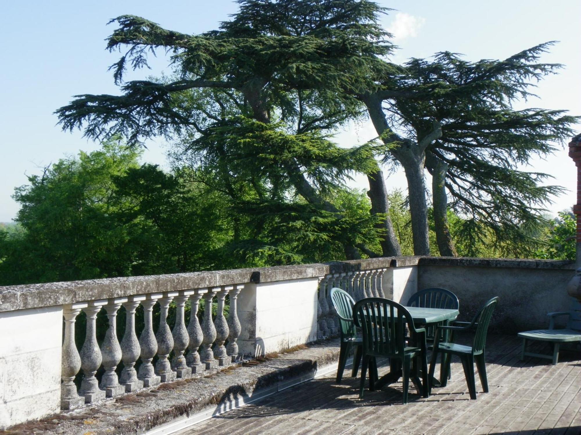 Chateau De Colliers Muides-sur-Loire Room photo