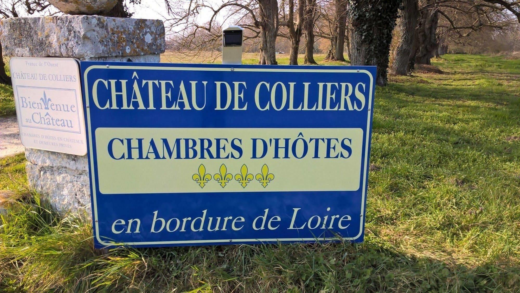 Chateau De Colliers Muides-sur-Loire Exterior photo